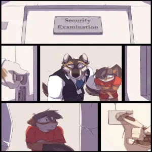 An Intensive Security Examination - page 5