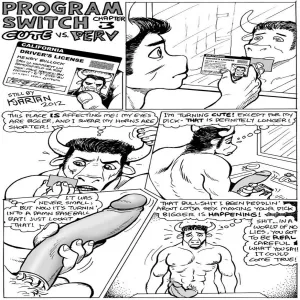 Program Switch - page 32