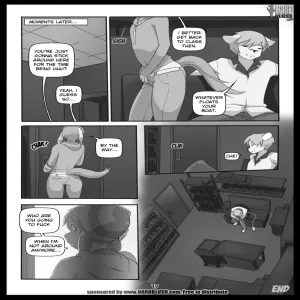 Projections - page 18