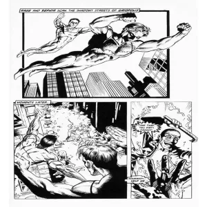 Rage Gay Crusader 1 - page 6
