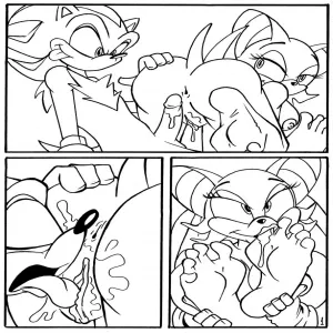 Shadow And Rouge - page 8