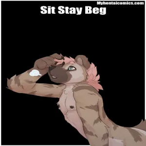 Sit Stay Beg - page 1