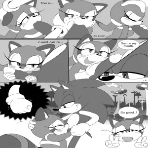 Sonic & Marine New Venture - page 5