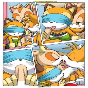 Sonic Project XXX - page 3