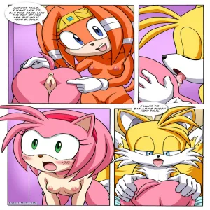 Sonic Project XXX 3 - page 13