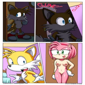 Sonic Project XXX 3 - page 5