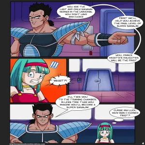 SSJ Girls 1 - Bra - page 5