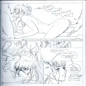 Submission Agenda 9 - Black Cat - page 11