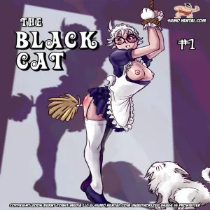 The Black Cat 1 - page 1