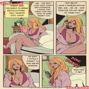 The Plumber - page 3