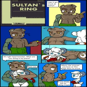 The Sultan's Ring - page 2
