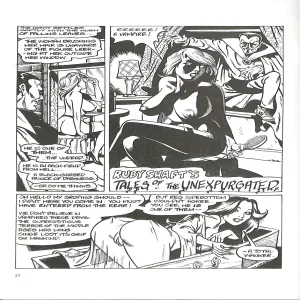 Ruby Shaft's - Tales Of The Unexpurgated 1 - page 18