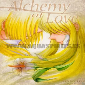 Alchemy Of Love - page 1
