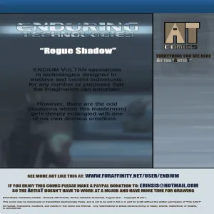 Enduring Technologies - R.A.I.S - page 2