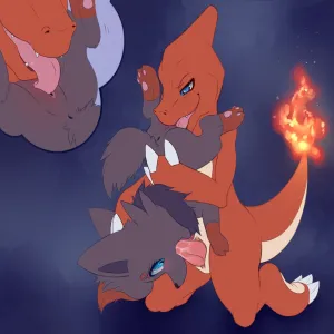 Fire-Fox Application - page 4