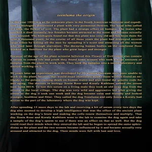 The Special TeenLumaz - page 2