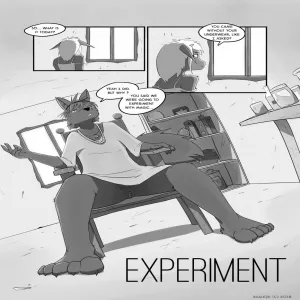 Experiment - page 1