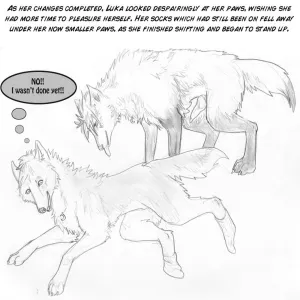 The New Pack - page 19