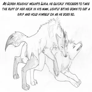 The New Pack - page 23