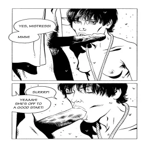 La Vicieuse - page 12