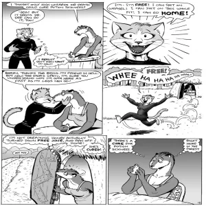 Cat Burglar - page 15