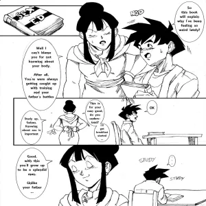 Gohan X Chichi - page 7