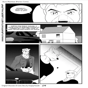Bruno Rheinbear - page 10