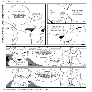 Bruno Rheinbear - page 19