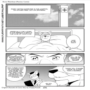 Bruno Rheinbear - page 2