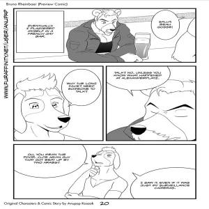 Bruno Rheinbear - page 21