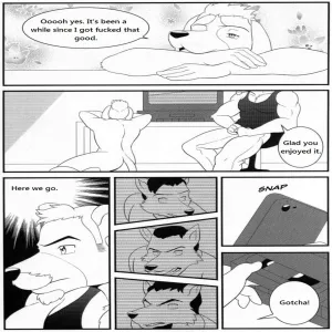 Bruno Rheinbear - page 25