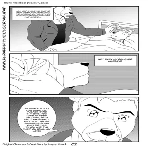 Bruno Rheinbear - page 3