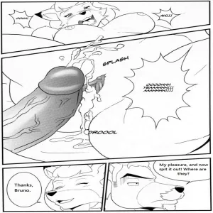 Bruno Rheinbear - page 37