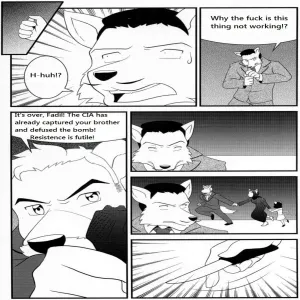 Bruno Rheinbear - page 49
