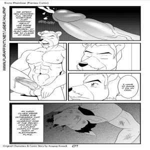 Bruno Rheinbear - page 8