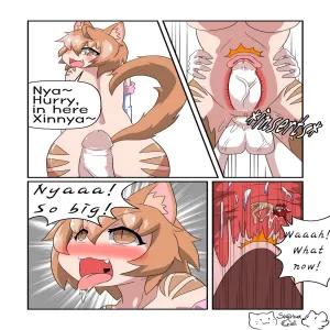 Cats Behavior - page 11
