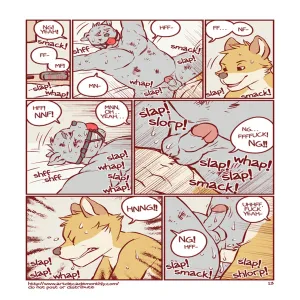 Collection - page 14