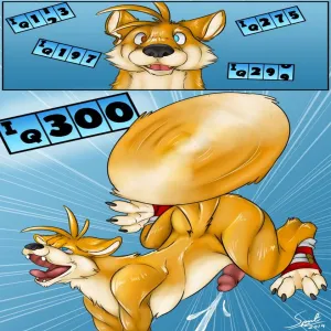 Fox Shoes - page 14