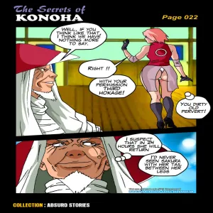 The Secrets Of Konoha - page 23