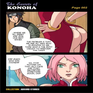The Secrets Of Konoha - page 3