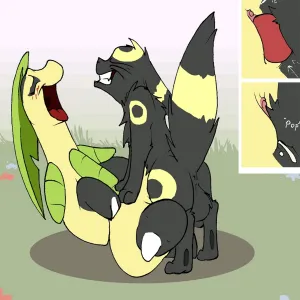 Nicobay Flash - page 11