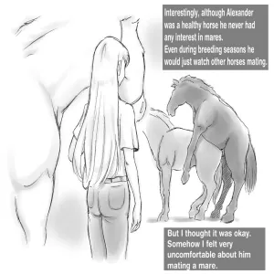 Alexander The Horse - page 13