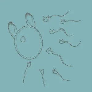 Foxes Can't Get Rabbits Pregnant - page 5