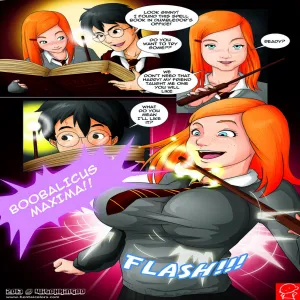 Harry Potter And The Forbidden Spells - page 2