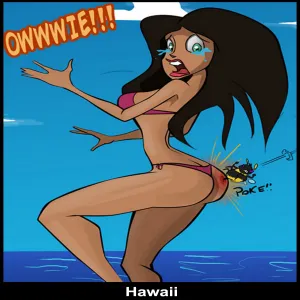 Hawaii - page 1