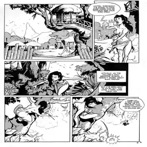 Hymenoptera 1 - Nassao Views - page 3
