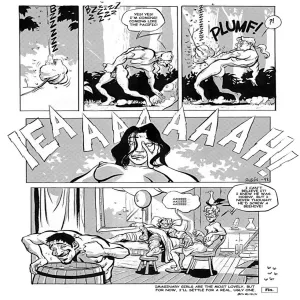 Hymenoptera 1 - Nassao Views - page 7